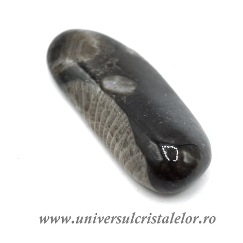 Piatra Vaticanului piatra rulata m2