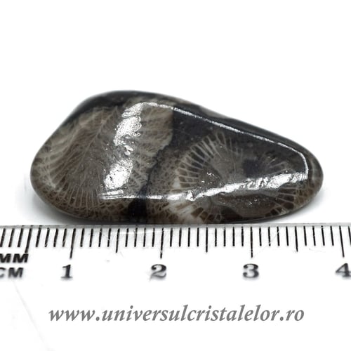 Piatra Vaticanului piatra rulata m3