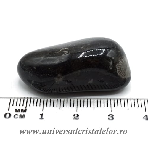 Piatra Vaticanului piatra rulata m6