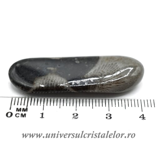 Piatra Vaticanului piatra rulata m1