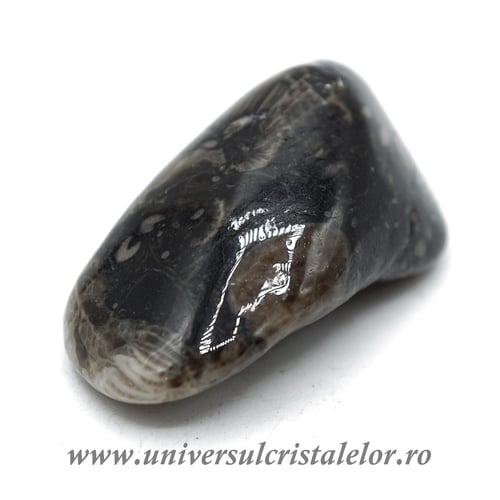 Piatra Vaticanului piatra rulata m2