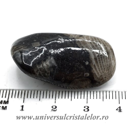 Piatra Vaticanului piatra rulata m2