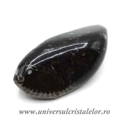 Piatra Vaticanului piatra rulata m5