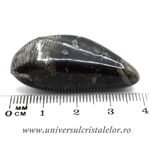 Piatra Vaticanului piatra rulata m5