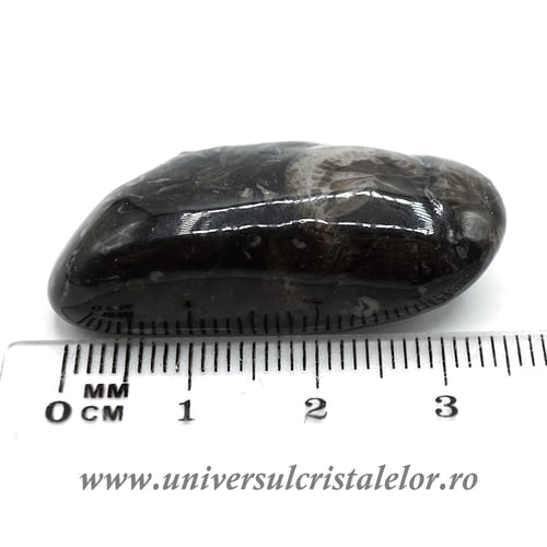 Piatra Vaticanului piatra rulata m6