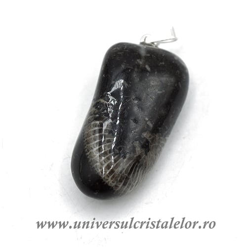 Pandantiv Piatra Vaticanului m3