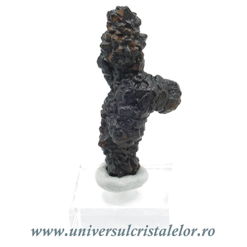 Piatra Profetiei (Piatra profetului)