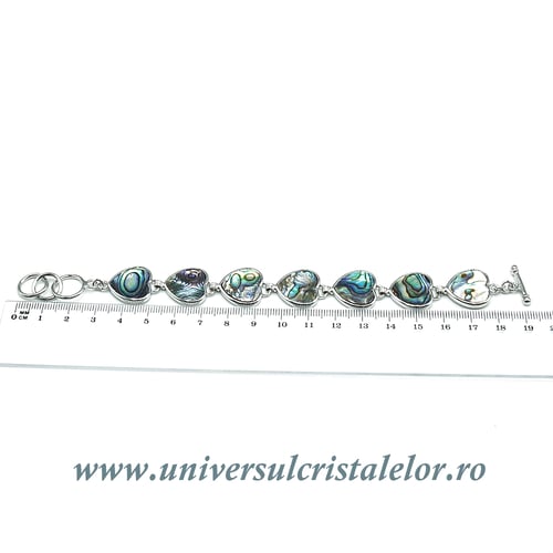 Bratara scoica paua (abalone)