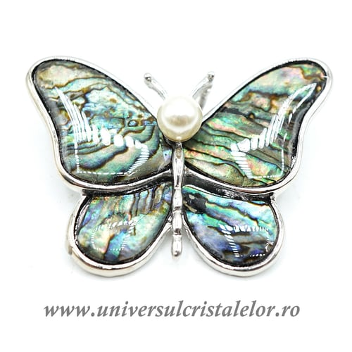 Brosa pandantiv abalone - fluture