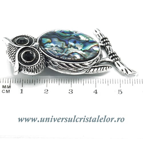 Pandantiv scoica paua bufnita