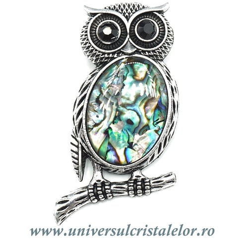 Pandantiv scoica paua bufnita