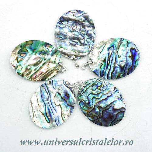 Pandantiv scoica paua