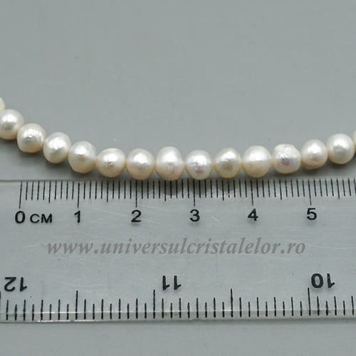 Colier perle 5,3 mm - M1