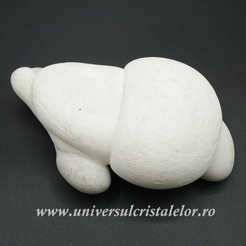 Piatra Zanelor ( menilit ) unicat m1