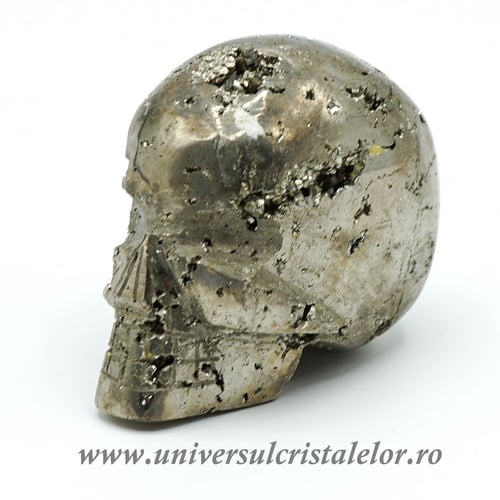 Craniu pirita m2
