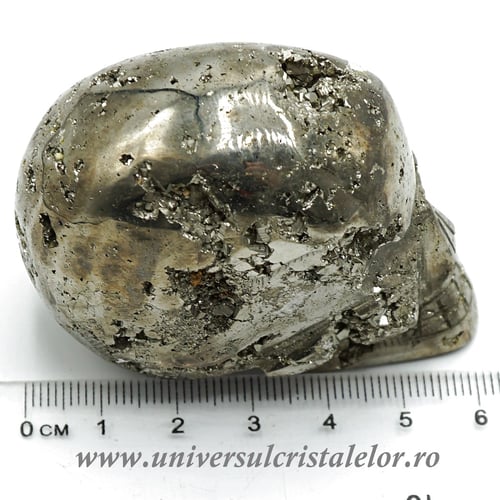 Craniu pirita m2