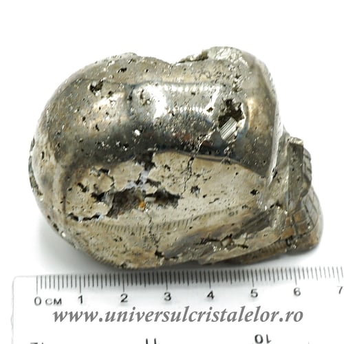 Craniu pirita m1