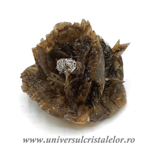 Selenit brut unicat m13