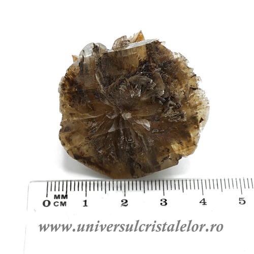 Selenit brut unicat m13