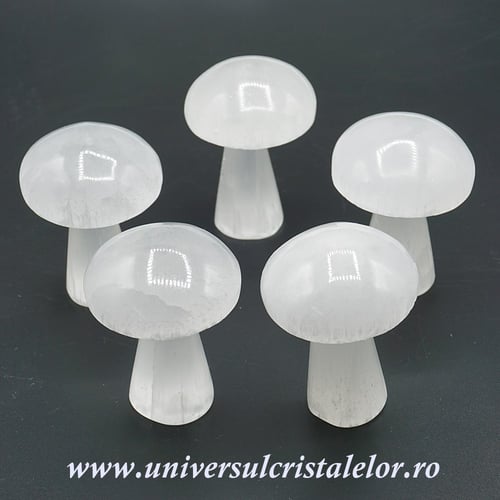 Selenit ciuperca alb 7 cm