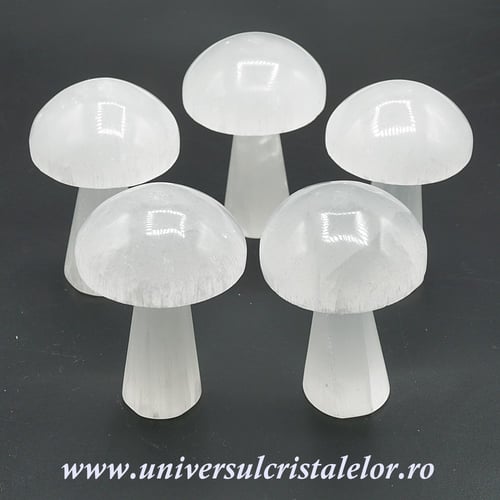 Selenit ciuperca alb 10 cm