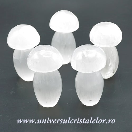Selenit ciuperca 8 cm