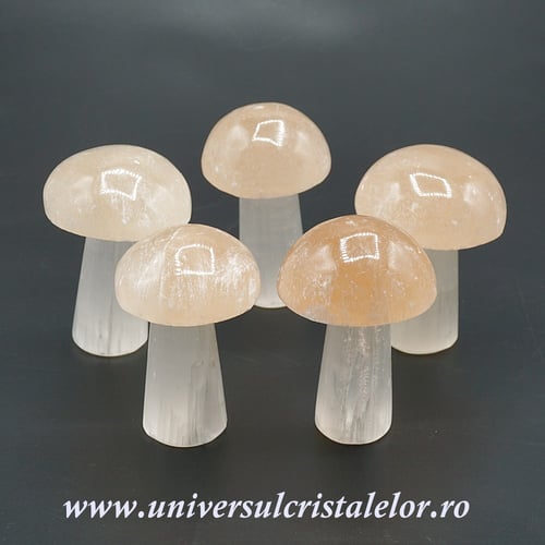 Selenit ciuperca 7 cm