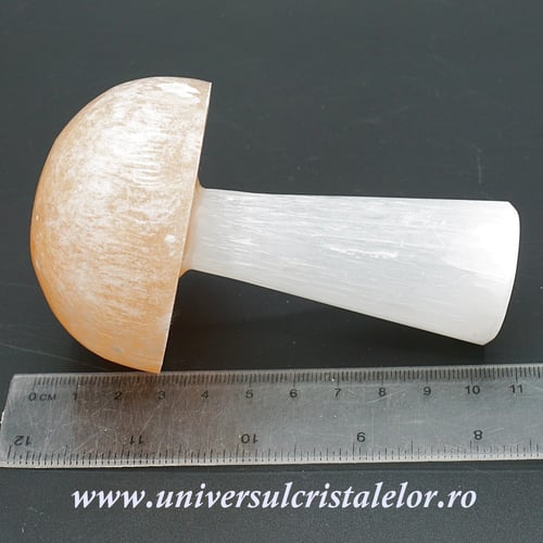 Selenit ciuperca 10 cm