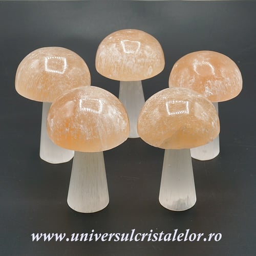 Selenit ciuperca 10 cm