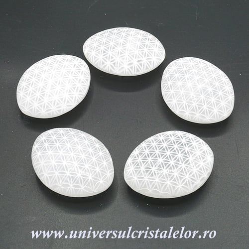 Selenit polisat floarea vietii