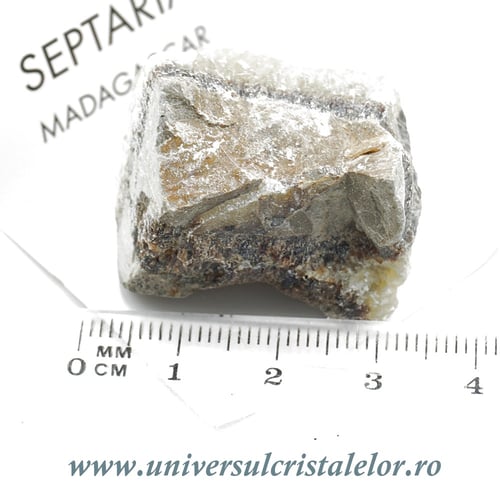Septaria 