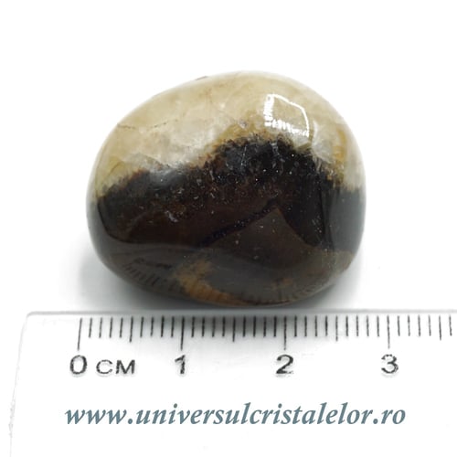 Septaria piatra rulata