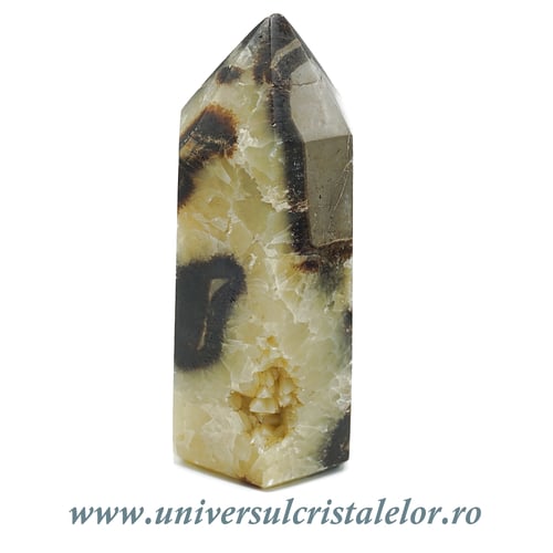 Septaria varf cu baza