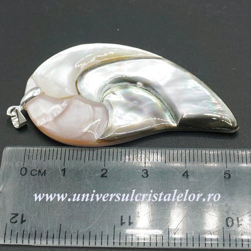 Pandantiv scoica paua si sidef