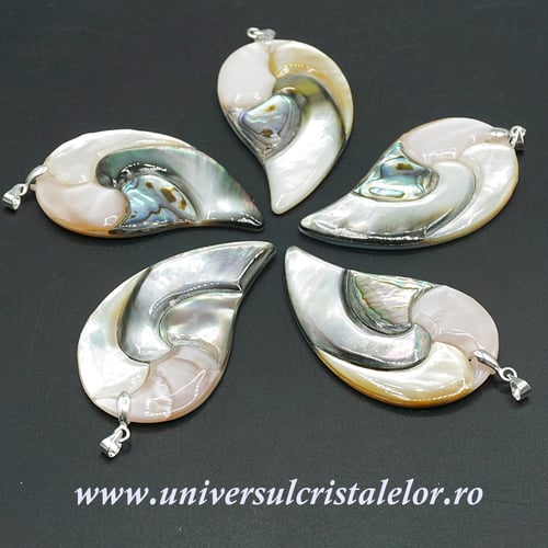 Pandantiv scoica paua si sidef