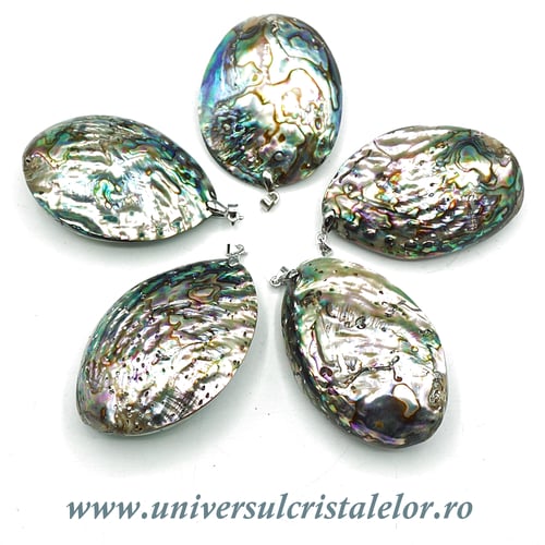 Pandantiv scoica paua dublat