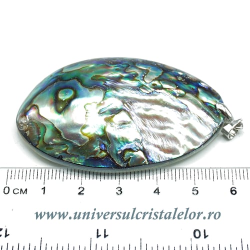 Pandantiv scoica paua