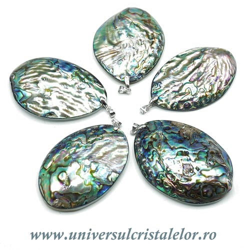 Pandantiv scoica paua