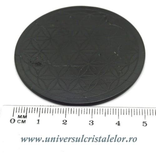 Shungit floarea vietii 5 cm