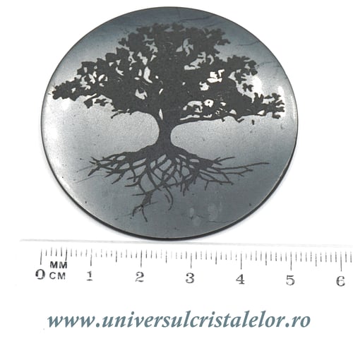 Shungit pomul vietii 5 cm