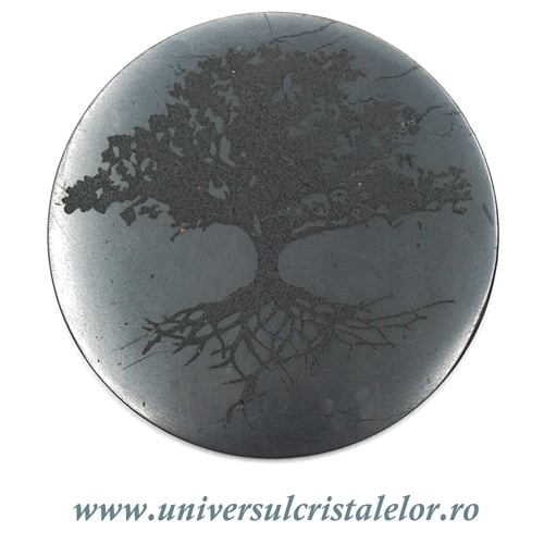 Shungit pomul vietii 5 cm