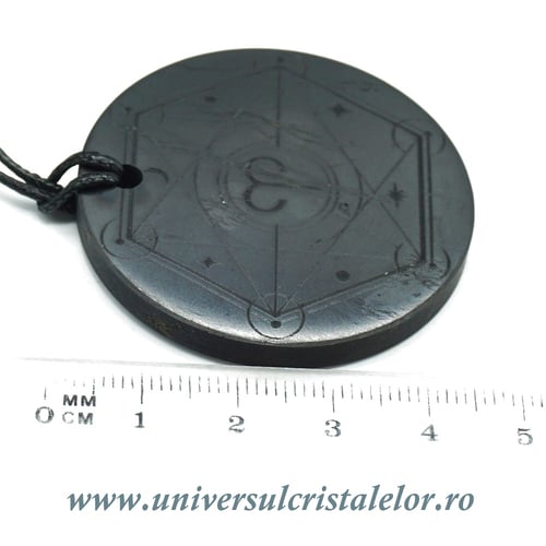 Pandantiv shungit zodia Berbec