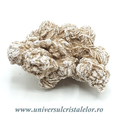 Trandafirul desertului