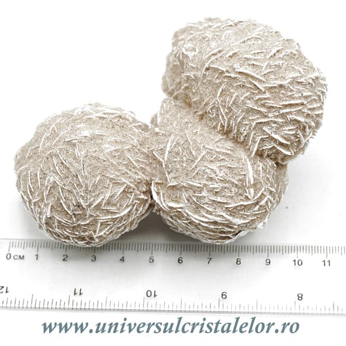 Trandafirul desertului 