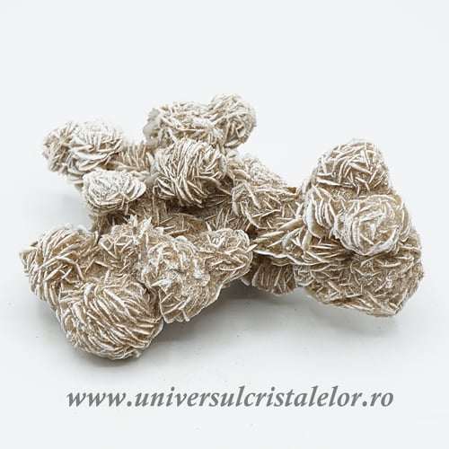 Trandafirul desertului