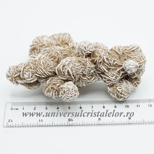 Trandafirul desertului