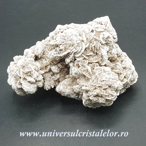 Trandafirul desertului 