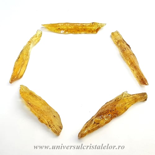 Copal (Chihlimbar tanar)