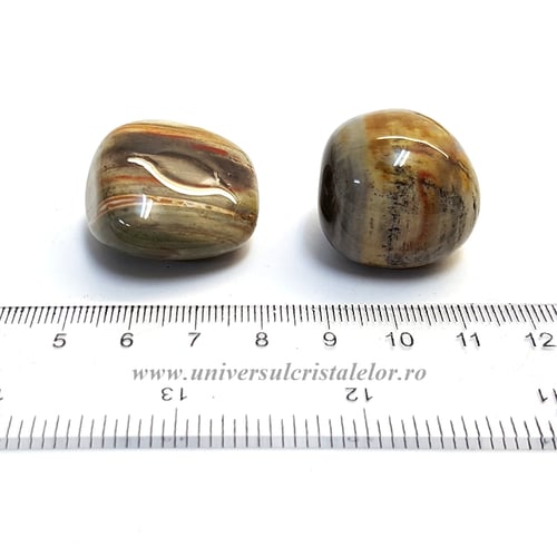 Lemn pietrificat piatra rulata