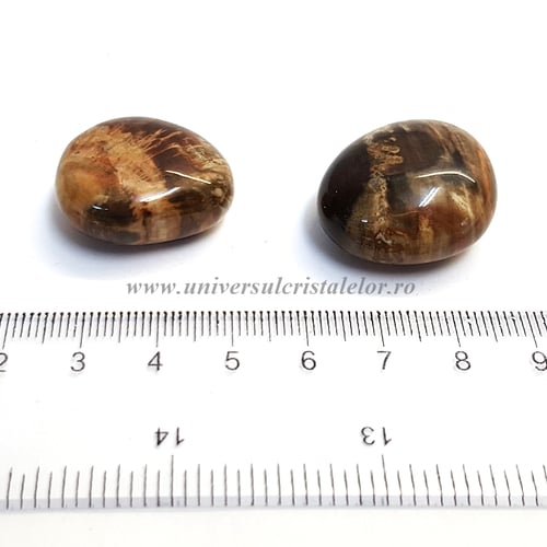 Lemn pietrificat piatra rulata